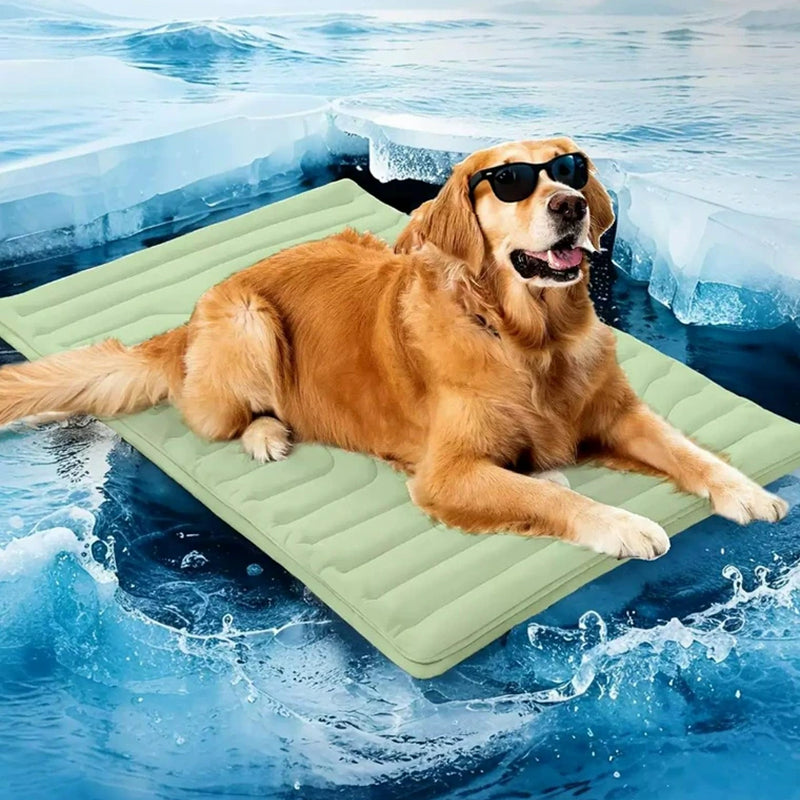 PawFroste