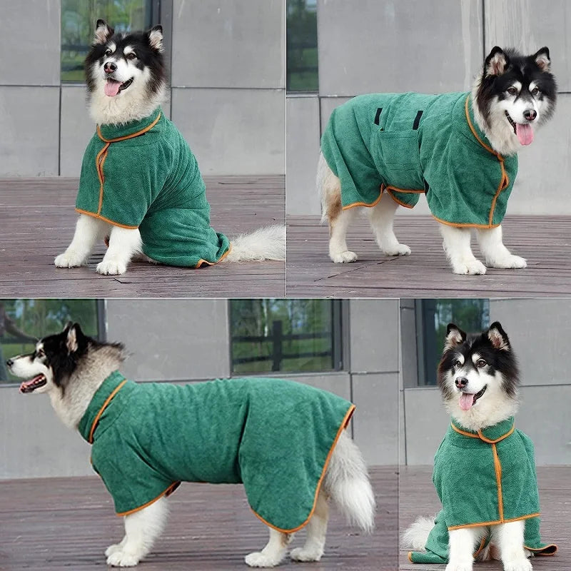 CoxFodog