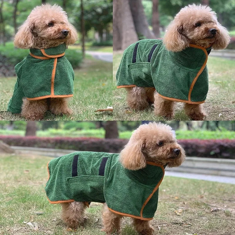 CoxFodog