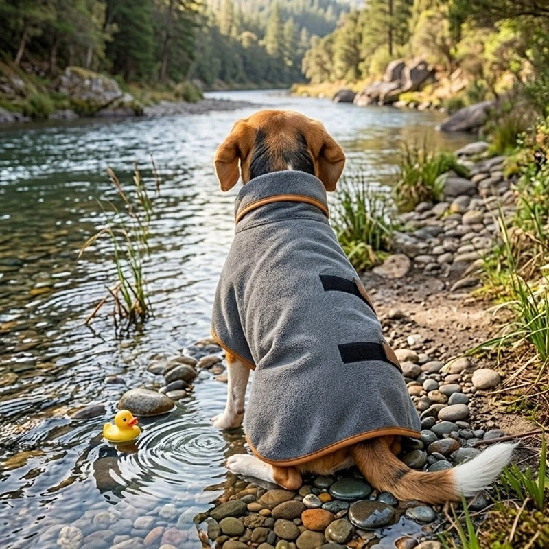 CoxFodog