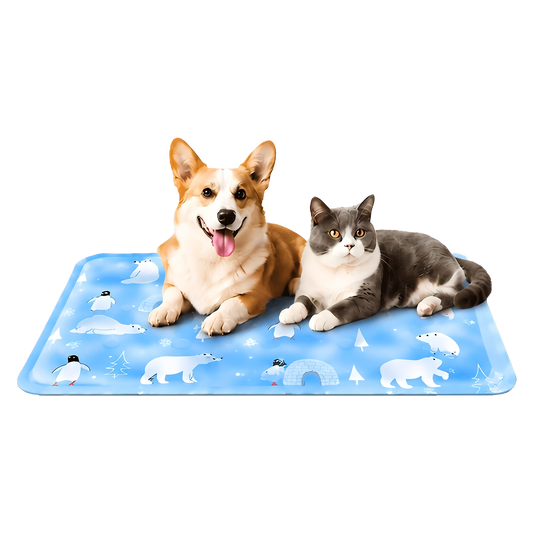 IcyPawsi