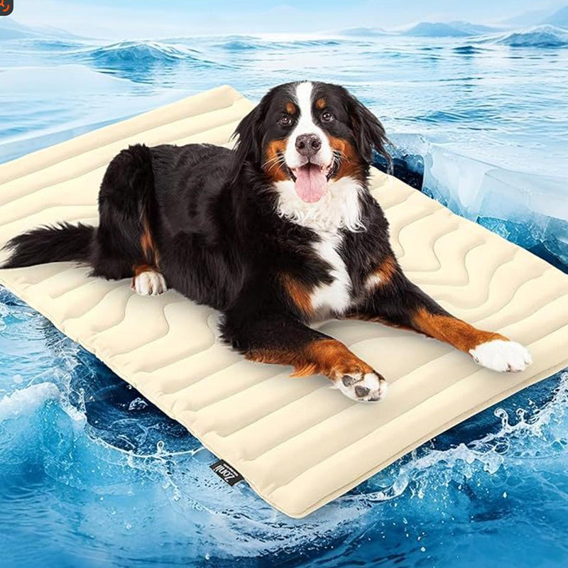 PawFroste